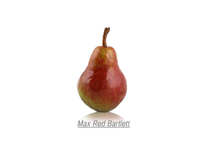 max-red-barlett